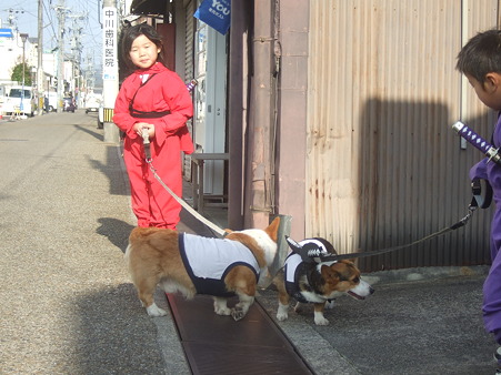 DSCF4801