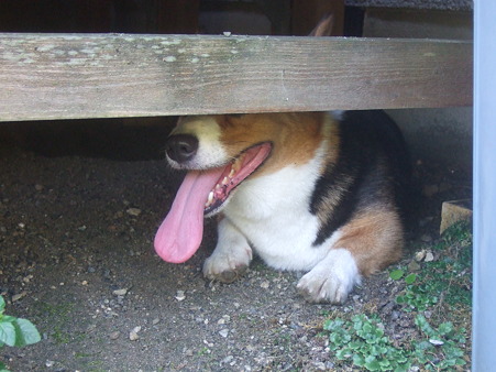 DSCF5669