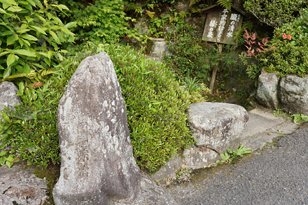 朧の清水 - 1