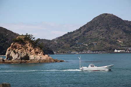 四十島（ターナー島） - 5
