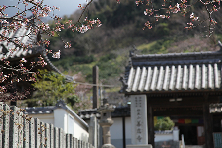 善応寺 - 03