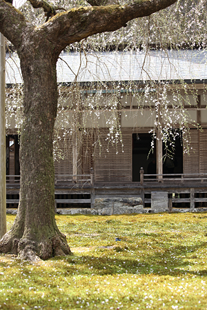 常照皇寺 - 05