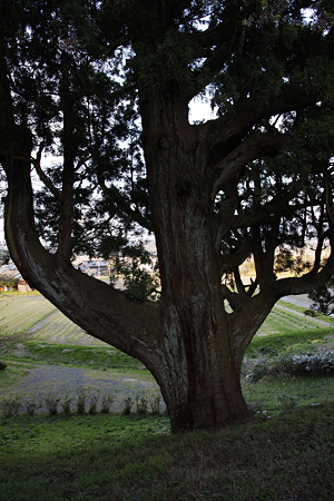笹岡城 - 02