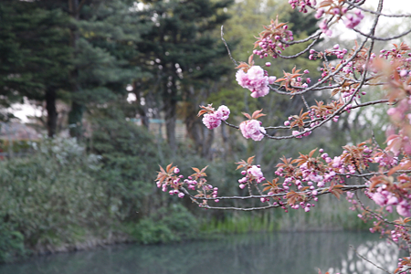 安田城 - 03