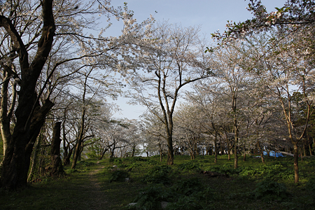 村上城（本庄城） - 06