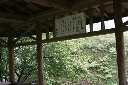 小川城 - 08