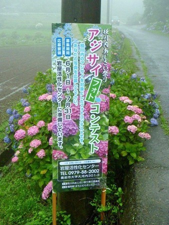DSCN3321