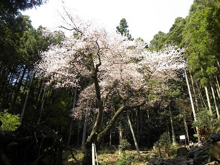 DSCN3915