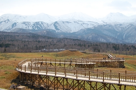 知床の山々と木道