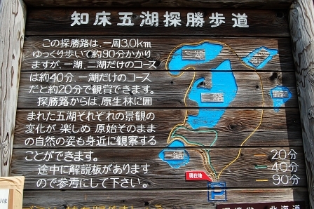 探勝歩道