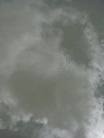 夏雲を泳ぐ