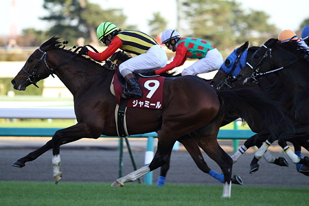 ジャミール_2010ステイヤーズS