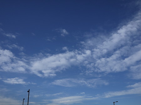 P1050102