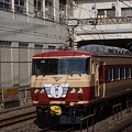 185 Series / fantasy JNR livery, 上州踊り子号 (2012年3月3日)