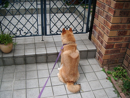 2010_07040017
