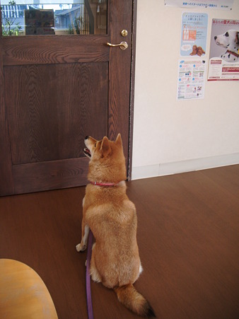 2010_10020015
