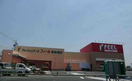 フィール新安城店・ Joshin 新安城店 2012年6月中旬 開店予定で外観完成-240524-1