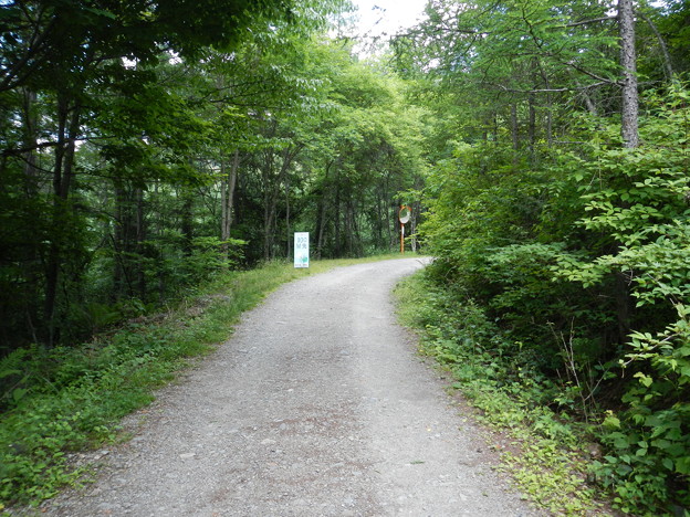 DSCN0578