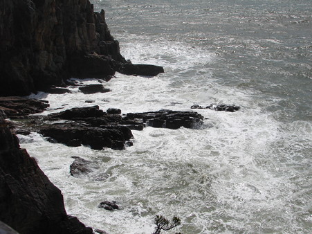 DSC05573