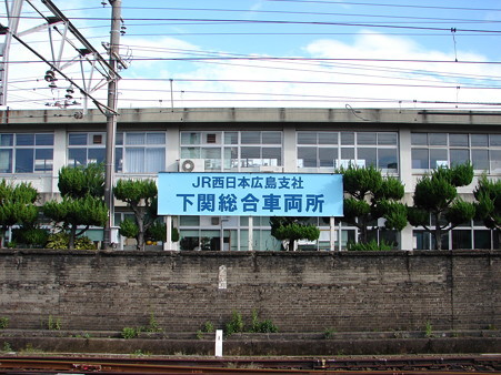 DSC05993