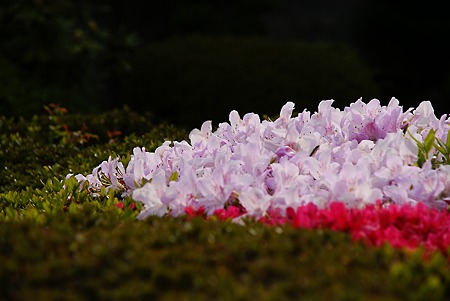 曼陀羅寺公園3