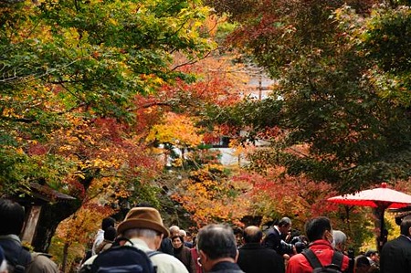 0911181029_DSC_0737