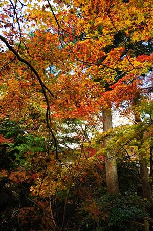 0911181101_DSC_0934