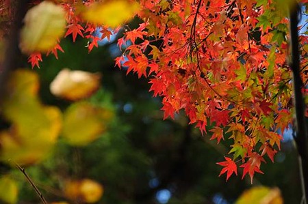 0911181105_DSC_0964