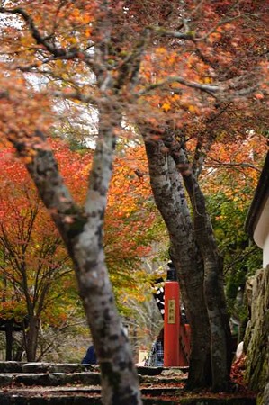 0911181108_DSC_0989