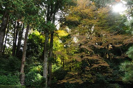 0911181111_DSC_1004