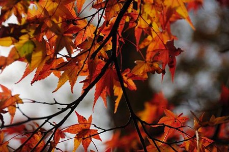 0911181113_DSC_1016