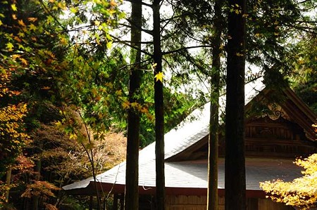 0911181202_DSC_1119