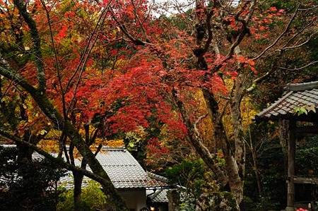 0911181450_DSC_1443