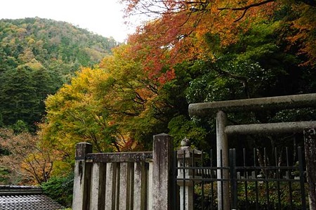 0911181505_DSC_1503