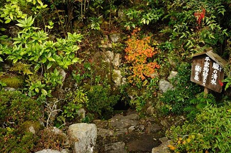 0911181530_DSC_1532