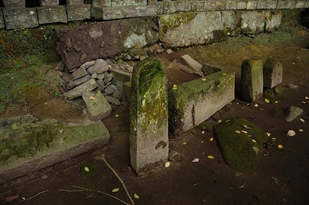 1001021047_DSC_6444