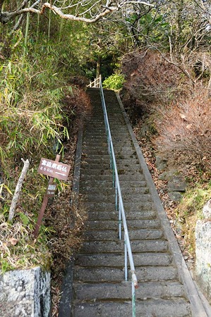 1001021256_DSC_6691