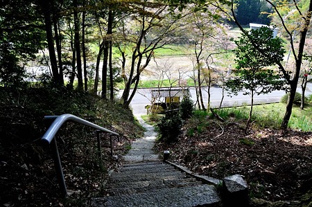1005030858_DSC_3026