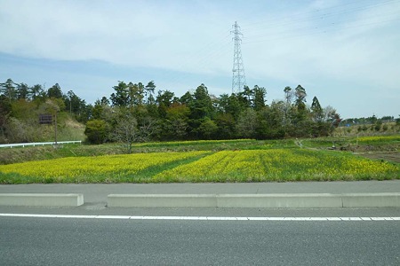 1005030944_P1650051
