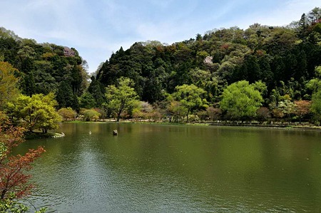 1005031032_DSC_3083