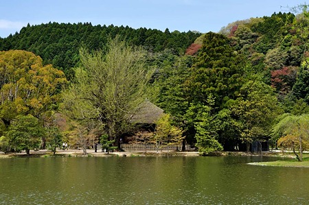 1005031055_DSC_3174