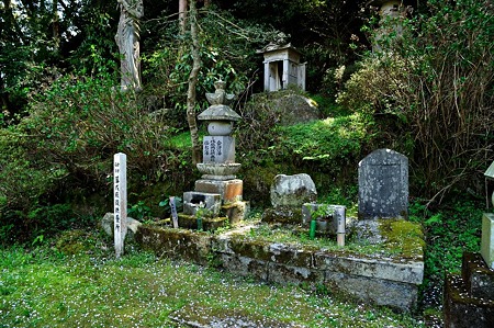 1005031245_DSC_3211