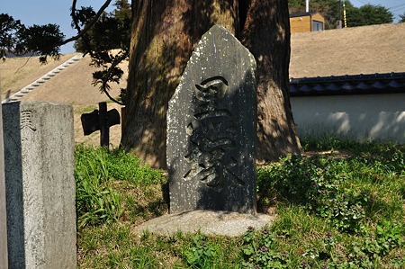1005031431_DSC_3609