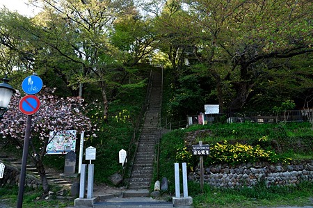 1005031536_DSC_3728
