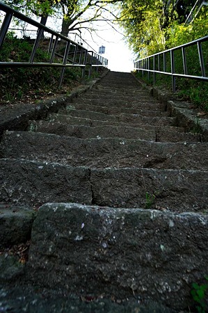 1005031537_DSC_3734