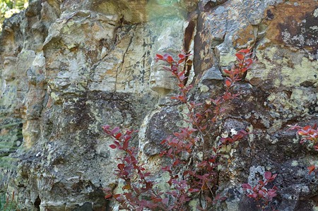1005031540_DSC_3781