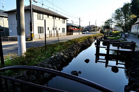 1005031555_DSC_3850