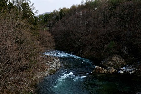 1005041702_DSC_4781