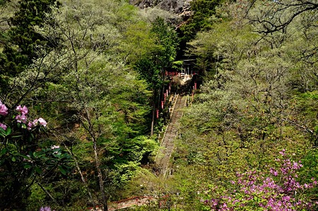 1005060938_DSC_6222