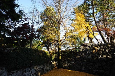 1011231508_DSC_4718